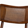 Pemberly Row Walnut Brown Wood and Rattan 2-Piece Dining Chair Set