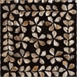 Pemberly Row Wood & Mother of Pearl End Table in Black and Bronze