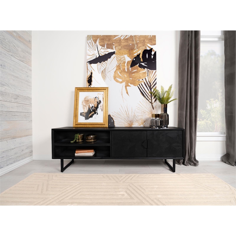 Pemberly Row 2-door Farmhouse Wood Rectangular TV Stand in Black