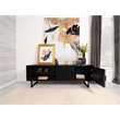 Pemberly Row 2-door Farmhouse Wood Rectangular TV Stand in Black