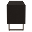 Pemberly Row 2-door Farmhouse Wood Rectangular TV Stand in Black