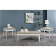 Pemberly Row 3-piece Coastal Wood Coffee Table Set Pine and White