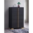 Pemberly Row Contemporary Wood Rectangular Chest in Black and Gold