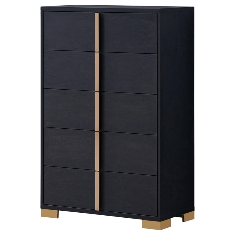 Pemberly Row Contemporary Wood Rectangular Chest in Black and Gold