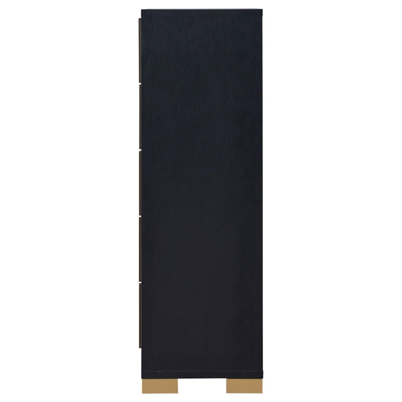 Pemberly Row Contemporary Wood Rectangular Chest in Black and Gold