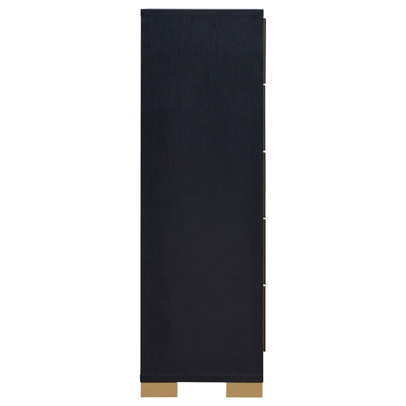 Pemberly Row Contemporary Wood Rectangular Chest in Black and Gold