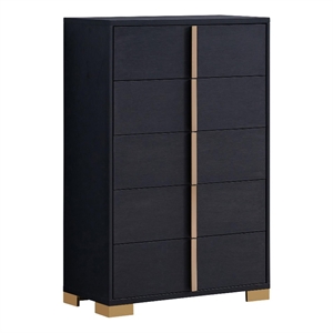 Pemberly Row Contemporary Wood Rectangular Chest in Black and Gold