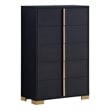 Pemberly Row Contemporary Wood Rectangular Chest in Black and Gold