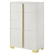 Pemberly Row Contemporary Wood Rectangular Chest in White and Gold