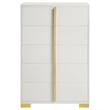 Pemberly Row Contemporary Wood Rectangular Chest in White and Gold