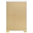 Pemberly Row Contemporary Wood Rectangular Chest in White and Gold