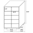Pemberly Row Contemporary Wood Rectangular Chest in White and Gold