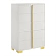 Pemberly Row Contemporary Wood Rectangular Chest in White and Gold