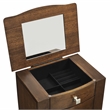 Pemberly Row 6-Drawer Wood Jewelry Armoire with Flip Top in Classic Walnut Brown