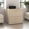 Pemberly Row 2 Drawer Lateral File Cabinet in Natural Elm - Engineered Wood