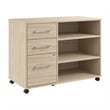 Pemberly Row Office Storage Cabinet with Wheels in Natural Elm - Engineered Wood