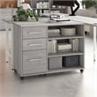 Pemberly Row Office Storage Cabinet w/ Wheels in Platinum Gray - Engineered Wood