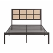 Pemberly Row Contemporary Metal Queen Size Platform Bed in Dark Bronze