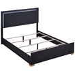 Pemberly Row 4-piece Contemporary Wood Queen Bedroom Set Black and Gold