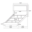 Pemberly Row 5-piece Contemporary Wood Eastern King Bedroom Set White and Gold