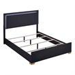 Pemberly Row Contemporary Wood Twin Bed with LED Lighting Black and Gold