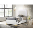 Pemberly Row Contemporary Wood Twin Bed with LED Lighting White and Gold
