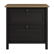 Pemberly Row 2 Drawer Lateral File Cabinet in Vintage Black and Reclaimed Pine