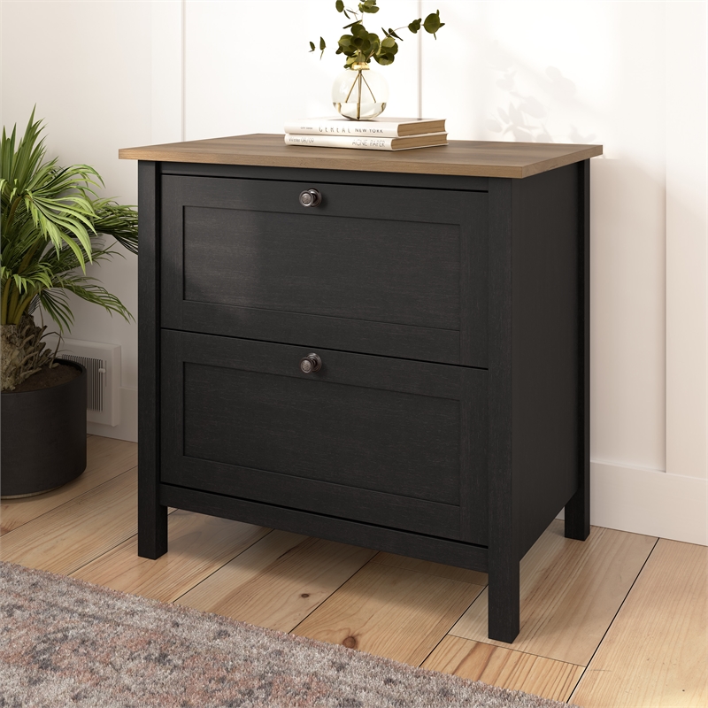 Pemberly Row 2 Drawer Lateral File Cabinet in Vintage Black and Reclaimed Pine