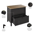 Pemberly Row 2 Drawer Lateral File Cabinet in Vintage Black and Reclaimed Pine