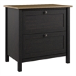 Pemberly Row 2 Drawer Lateral File Cabinet in Vintage Black and Reclaimed Pine