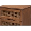 Pemberly Row Walnut Brown Wood and Rattan Queen Size 3-Piece Bedroom Set