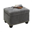 Pemberly Row Modern / Contemporary Storage Ottoman in Gray Velvet