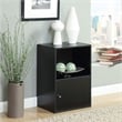 Pemberly Row Storage 1 Door Cabinet in Gray Faux Birch Wood Finish