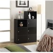 Pemberly Row Storage 1 Door Cabinet in Gray Faux Birch Wood Finish
