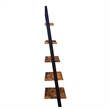 Pemberly Row Contemporary Bookshelf Ladder in Nutmeg Wood Finish