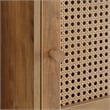 Pemberly Row Three-Door Cabinet with Shelf in Caramel Wood Frame Finish
