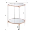 Pemberly Row Two-Tier Clear Acrylic Glass End Table with Gold and Chrome Frame