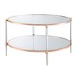 Pemberly Row Two-Tier Clear Acrylic Glass Coffee Table with Gold & Chrome Frame