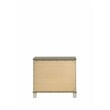 Pemberly Row Modern 2-Drawer Nightstand Made with Wood in Silver