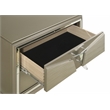 Pemberly Row Contemporary 5-Drawer Chest Made with Wood in Silver