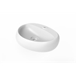 Pemberly Row Oval Ceramic Wall Mount Bathroom Sink in Matte White