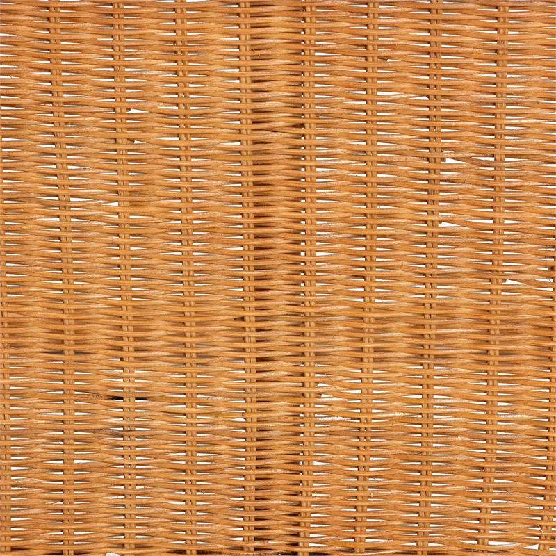 Pemberly Row Modern Bohemian Natural Brown Rattan Console Table