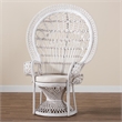 Pemberly Row Modern Bohemian White Natural Rattan Peacock Chair