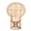 Pemberly Row Modern Bohemian Natural Brown Rattan Peacock Chair