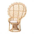 Pemberly Row Modern Bohemian Natural Brown Rattan Peacock Chair