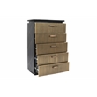 Pemberly Row Modern 5-PC Wood Queen Bedroom Set in Black/Gold