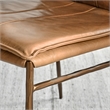 Pemberly Row Modern Tan Premium Leather Dining Chair Set of 2