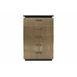 Pemberly Row Modern 5-Piece Wood King Bedroom Set in Black/Brass