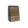 Pemberly Row Modern 5-Piece Wood King Bedroom Set in Black/Brass