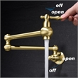Pemberly Row Modern Pot Filler Faucet Brass Wall Mount in Gold
